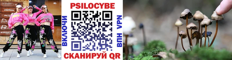 Купить где  Борисоглебск  Псилоцибиновые грибы мицелий 